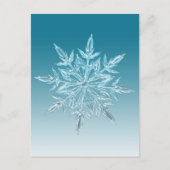 Carte Postale Cristal de snowflake (Devant)