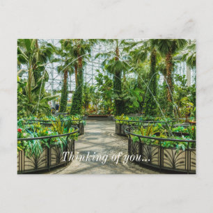 Carte Postale Cristal Gardens Leap Fontaine Penser De Vous