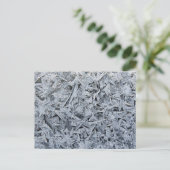 Carte Postale Cristaux de givre de glace Texture (Debout devant)
