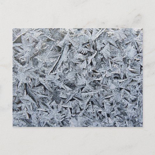 Carte Postale Cristaux de givre de glace Texture (Devant)