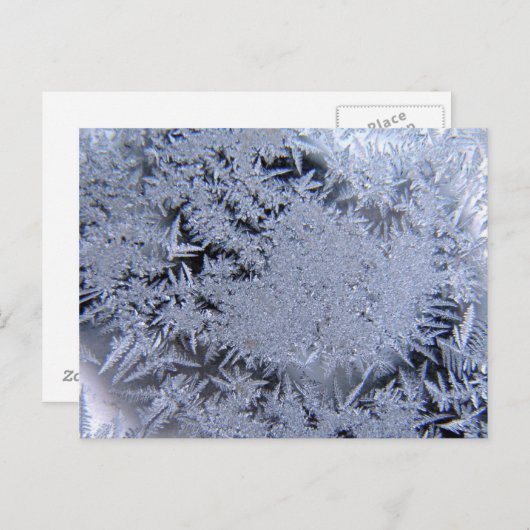 Carte Postale cristaux de glace (Devant / Derrière)