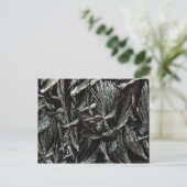 Carte Postale cristaux de Nystatine sous microscope (Debout devant)