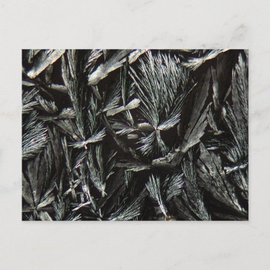 Carte Postale cristaux de Nystatine sous microscope (Devant)