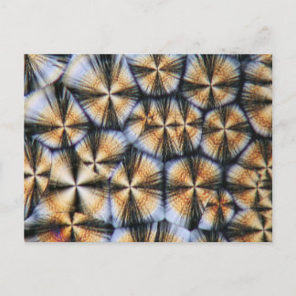 Carte Postale cristaux de vitamine C au microscope