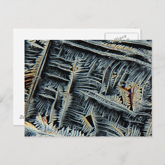Carte Postale cristaux dendritiques sous microscope (Devant / Derrière)