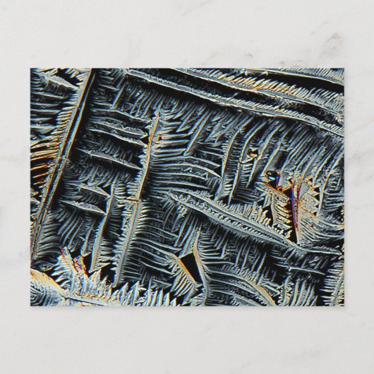 Carte Postale cristaux dendritiques sous microscope (Devant)