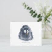 Carte Postale Critère de petit pingouin (Debout devant)