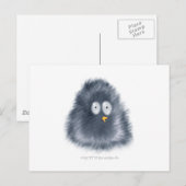 Carte Postale Critère de petit pingouin (Devant / Derrière)