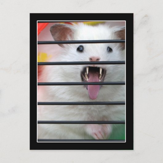 Carte Postale Critère est un hamster moyen (Devant)