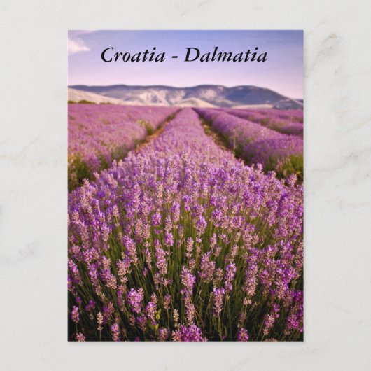 Carte Postale Croatie - Dalmatie (Devant)