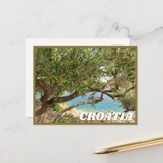 Carte Postale Croatie Olive Tree Photo (Devant/Arrière en situation)