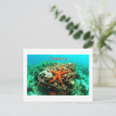 Carte Postale Croatie - Vie maritime (Debout devant)