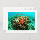 Carte Postale Croatie - Vie maritime (Devant / Derrière)