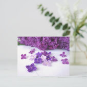 Carte postale Crochet Lilac (Debout devant)