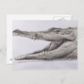 Carte Postale Crocodile 2005 (Devant / Derrière)