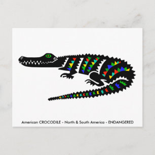 Carte Postale CROCODILE Américain -Conservation -Reptile-