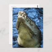 Carte Postale Crocodile Dents Eau (Devant / Derrière)