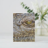 Carte Postale Crocodile du Nil d'Afrique (Debout devant)