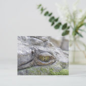Carte Postale Crocodile eye (Debout devant)