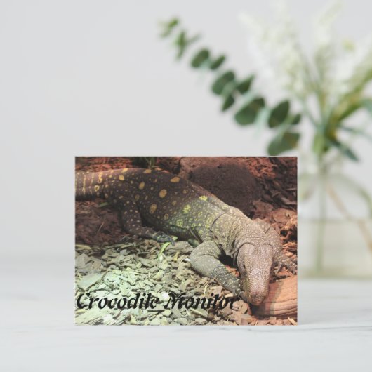 Carte Postale Crocodile Montior (Debout devant)