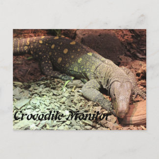 Carte Postale Crocodile Montior