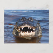 Carte Postale Crocodile souriant (Devant)