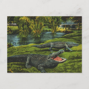 Carte Postale Crocodiles vintages, Reptiles Marine Life Animaux
