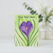Carte Postale Crocus (Debout devant)