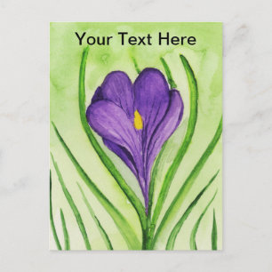 Carte Postale Crocus
