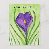 Carte Postale Crocus (Devant)