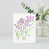 Carte Postale crocus (Debout devant)