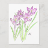 Carte Postale crocus (Devant)
