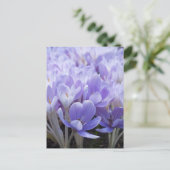 Carte postale Crocus (Debout devant)