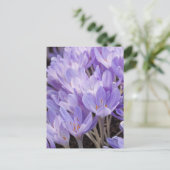 Carte postale Crocus (Debout devant)