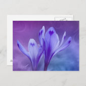 Carte Postale crocus bleu (Devant / Derrière)