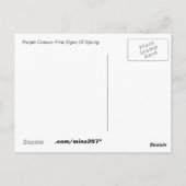 Carte postale Crocus pourpre (Dos)