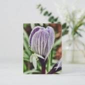Carte Postale Crocus Snowdrop et gouttelettes d'eau (Debout devant)