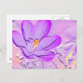Carte Postale Crocus violet embouti (Devant / Derrière)