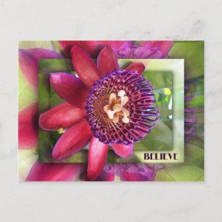 Carte Postale Croire