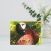 Carte Postale Croire_nal (Debout devant)