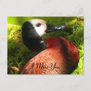 Carte Postale Croire_nal
