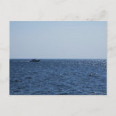 Carte Postale Croisière sur le lac St. Clair (Devant)