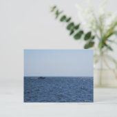 Carte Postale Croisière sur le lac St. Clair (Debout devant)