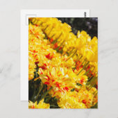 Carte Postale Croissance en or (Devant / Derrière)