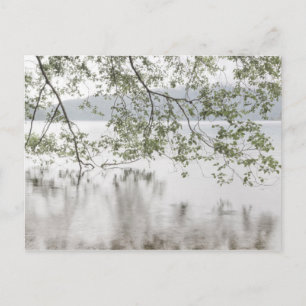 Carte Postale Croissant du lac Parc national olympique, WA