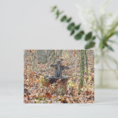 Carte Postale Croix dans les bois (Debout devant)
