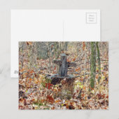 Carte Postale Croix dans les bois (Devant / Derrière)