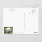 Carte postale croix de caniche souriante (Dos)