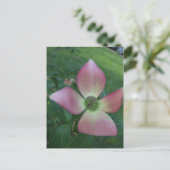 Carte Postale Croix de Dogwood (Debout devant)