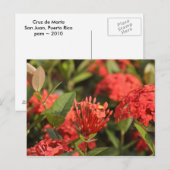 Carte Postale Croix de Marta (Devant / Derrière)